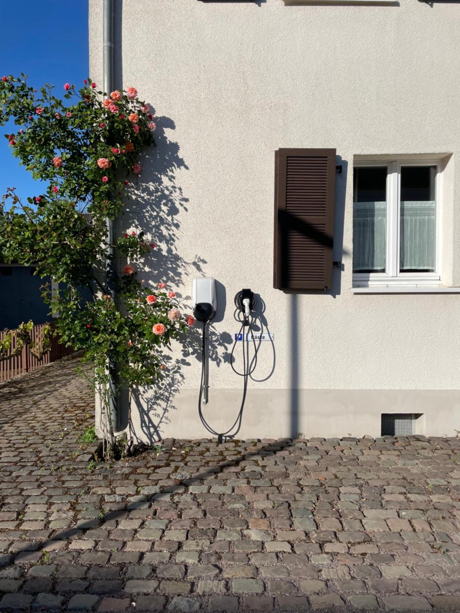 Saarlouis Innenstadt Im Gruenen Eksteriør billede